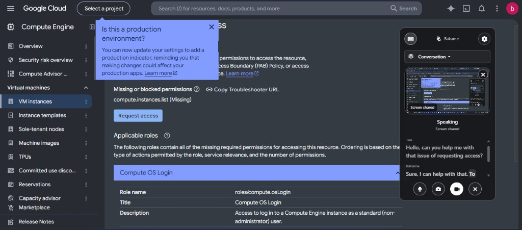 Bakame watching a shared cloud console and talking the user through a permission request.